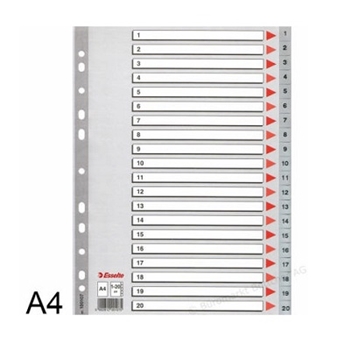 Picture of Esselte 100107 Plastic Dividers A4 1-20 Numbers