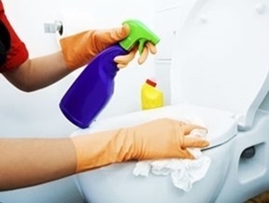 Picture for category Toilet and Bathroom Cleaning