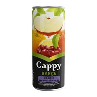 Resim Cappy Teneke Kutu Meyve Suyu  250Ml Karışık 12Li